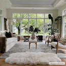 Georgiana Area Rug Georgiana Area Rug