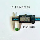 Marimo Moss Balls For Aquarium 20PCS Multiple Size Moss Ball Aqua Plant Pet Bulk Sale - Kokedama Japanese Algae Ball Wholesale Marimo Moss Balls For Aquarium 20PCS Multiple Size Moss Ball Aqua Plant Pet Bulk Sale - Kokedama Japanese Algae Ball Wholesale