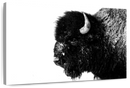 Black Bison Wall Art Black Bison Wall Art