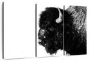 Black Bison Wall Art Black Bison Wall Art