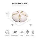 Sand Dollar Sand Dollar