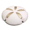 Sand Dollar Sand Dollar