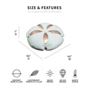 Sand Dollar Sand Dollar