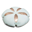 Sand Dollar Sand Dollar