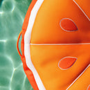 Fruit Slice Large Fruit Slice Large