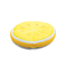 Fruit Slice Large Fruit Slice Large
