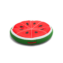 Fruit Slice Large Fruit Slice Large