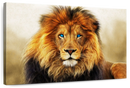 Blue Eyed Lion Wall Art Blue Eyed Lion Wall Art
