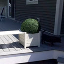 19" XL Boxwood Topiary Ball 19" XL Boxwood Topiary Ball