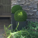 19" XL Cypress Topiary Ball 19" XL Cypress Topiary Ball