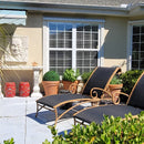 19" XL Boxwood Topiary Ball 19" XL Boxwood Topiary Ball