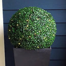 19" XL Boxwood Topiary Ball 19" XL Boxwood Topiary Ball