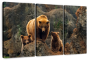 Bear And Cubs Wall Art Bear And Cubs Wall Art