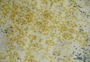 4x6 Fine Hand Knotted Gold, Gray and Ivory Modern Abstract Wool and SIlk Area Rug | AGR17 4x6 Fine Hand Knotted Gold, Gray and Ivory Modern Abstract Wool and SIlk Area Rug | AGR17