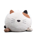 Wild Things Francesca Feline Wild Things Francesca Feline