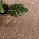 Judy Brown  - Promo Washable Area Rug Judy Brown  - Promo Washable Area Rug