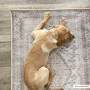 Analu Non-Slip Washable Rug Analu Non-Slip Washable Rug