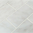 MSI Arabescato Carrara Honed Marble Wall And Floor Subway Tile MSI Arabescato Carrara Honed Marble Wall And Floor Subway Tile