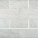 MSI Arabescato Carrara Honed Marble Wall And Floor Subway Tile MSI Arabescato Carrara Honed Marble Wall And Floor Subway Tile