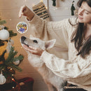 Artistic Austin Texas Christmas Ornament, Unique Ceramic Keepsake Souvenir and Gift Artistic Austin Texas Christmas Ornament, Unique Ceramic Keepsake Souvenir and Gift