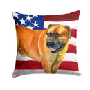 Boerboel Mastiff Patriotic Throw Pillow - 14x14 Decorative Pillow β Art for Your Home & Patio BB9646PW1414 Boerboel Mastiff Patriotic Throw Pillow - 14x14 Decorative Pillow β Art for Your Home & Patio BB9646PW1414
