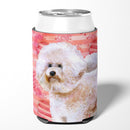 Bichon Frise Bichon Frise