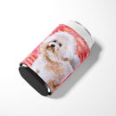 Bichon Frise Bichon Frise
