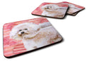Bichon Frise Bichon Frise