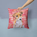 Jack Russell Terrier Jack Russell Terrier