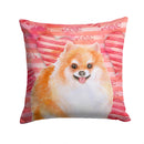 Pomeranian Pomeranian