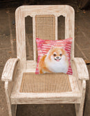 Pomeranian Pomeranian