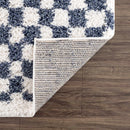 Kieu Blue & White Checkered Area Rug Kieu Blue & White Checkered Area Rug
