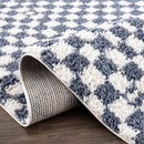 Kieu Blue & White Checkered Area Rug Kieu Blue & White Checkered Area Rug