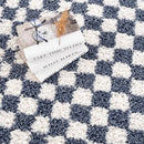 Kieu Blue & White Checkered Area Rug Kieu Blue & White Checkered Area Rug
