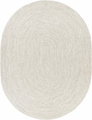 Beige Braided Faux Jute Rug Beige Braided Faux Jute Rug
