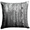 "Birch Trees in Winter" Throw Pillow "Birch Trees in Winter" Throw Pillow