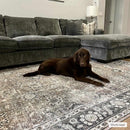 Ganyangan Washable Rug Ganyangan Washable Rug