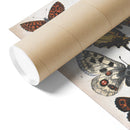 "Butterfly Illustration" by William S. Coleman Matte Poster "Butterfly Illustration" by William S. Coleman Matte Poster