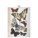 "Butterfly Illustration" by William S. Coleman Matte Poster "Butterfly Illustration" by William S. Coleman Matte Poster