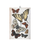 "Butterfly Illustration" by William S. Coleman Matte Poster "Butterfly Illustration" by William S. Coleman Matte Poster