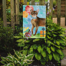 Abyssinian Happy Birthday Garden Flag - Outdoor Decorative Yard Flag CK3162GF Abyssinian Happy Birthday Garden Flag - Outdoor Decorative Yard Flag CK3162GF