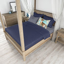 Abyssinian Spring Flowers  Standard Pillowcase – Artistic Decorative Front, White Back CK3386PILLOWCASE Abyssinian Spring Flowers  Standard Pillowcase – Artistic Decorative Front, White Back CK3386PILLOWCASE