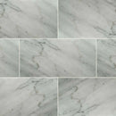 MSI Carrara White Marble Wall and Floor Tile MSI Carrara White Marble Wall and Floor Tile