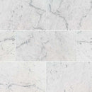 MSI Carrara White Marble Wall and Floor Tile MSI Carrara White Marble Wall and Floor Tile