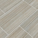 MSI Charisma Silver Ceramic Wall and Floor Tile MSI Charisma Silver Ceramic Wall and Floor Tile