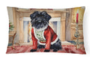 Affenpinscher Christmas Fabric Decorative Pillow Affenpinscher Christmas Fabric Decorative Pillow