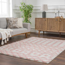 Darva Pink Plush Area Carpet Darva Pink Plush Area Carpet
