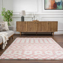 Darva Pink Plush Area Carpet Darva Pink Plush Area Carpet