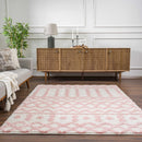 Darva Pink Plush Area Carpet Darva Pink Plush Area Carpet