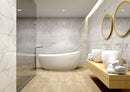 MSI Dymo Statuary Glossy Ceramic Wall Tile 12x24 MSI Dymo Statuary Glossy Ceramic Wall Tile 12x24